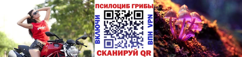 Галлюциногенные грибы Cubensis  блэк спрут маркетплейс  Борисоглебск 