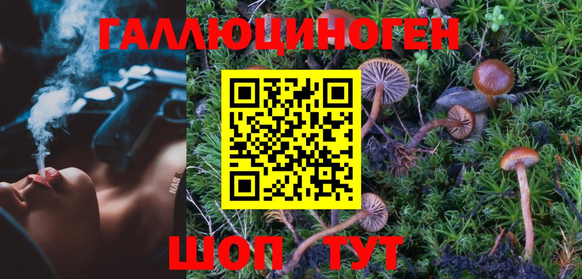 Псилоцибиновые грибы Psilocybine cubensis  Псилоцибиновые грибы ЛСД  Вход с VPN  Борисоглебск 